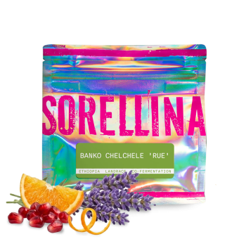 Etiopie BANKO CHELCHELE  - Sorellina Coffee