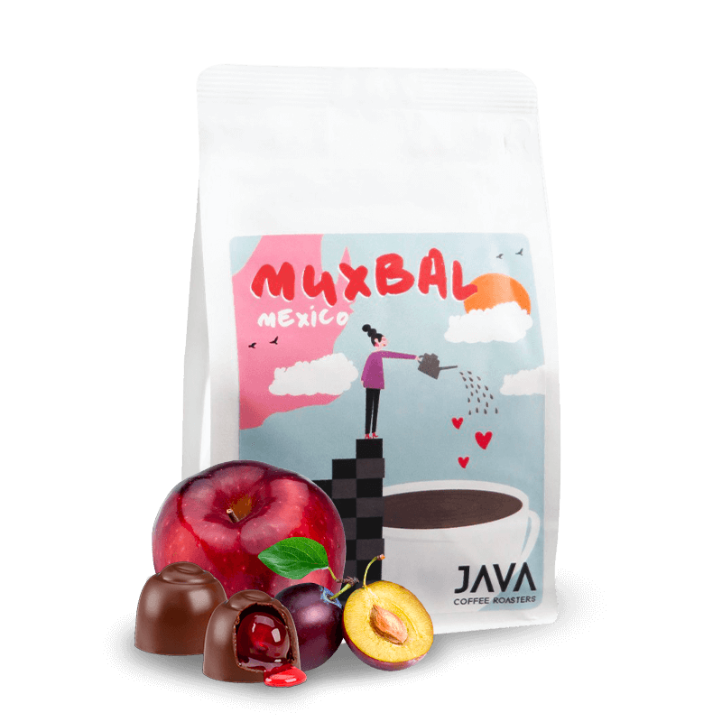 Výběrová káva Java Coffee Roasters Mexiko MUXBAL