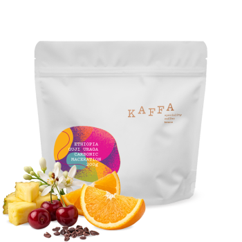 Etiopie GUJI URAGA - Kaffa