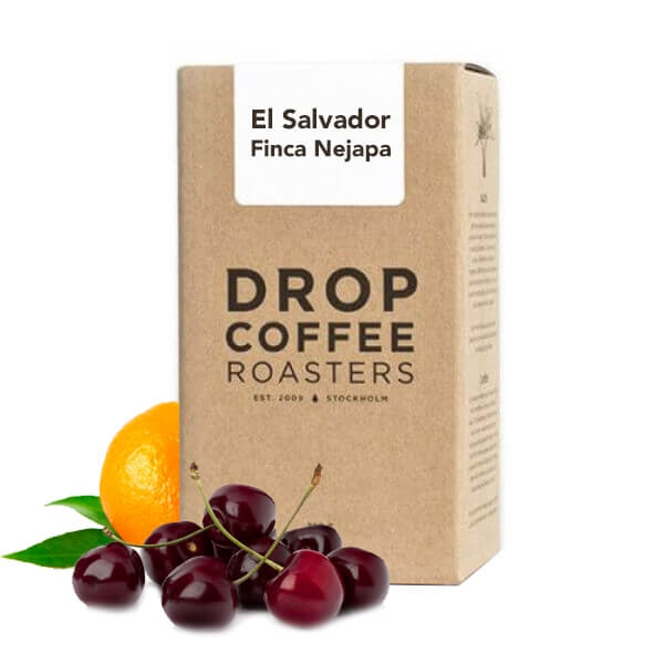 Výběrová káva Drop Coffee Roasters El Salvador FINCA NEJAPA - Pacamara
