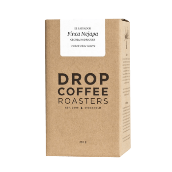 El Salvador FINCA NEJAPA - yellow caturra - Drop Coffee Roasters