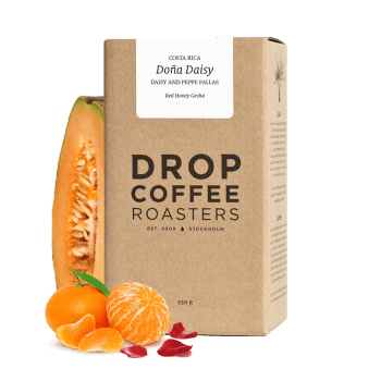 Kostarika DONA DAISY - Drop Coffee Roasters