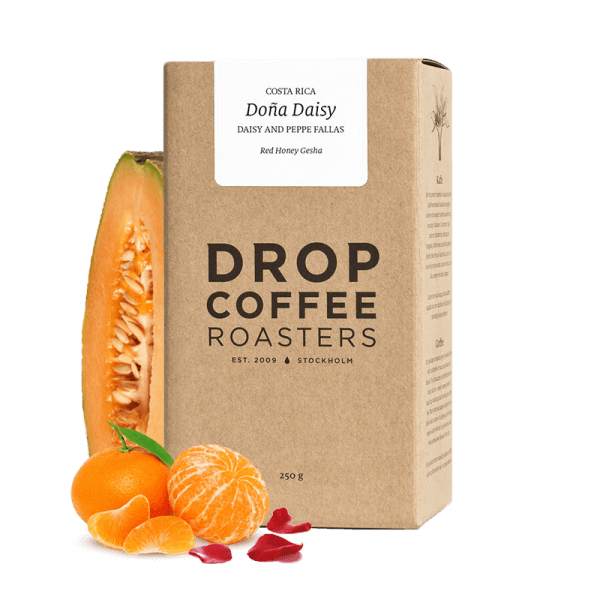 Výběrová káva Drop Coffee Roasters Kostarika DONA DAISY