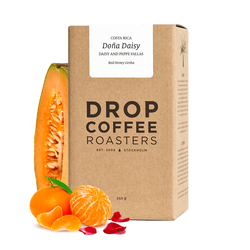 Výběrová káva Drop Coffee Roasters Kostarika DONA DAISY