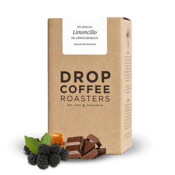 Nikaragua LIMONCILLO - 2021 - Drop Coffee Roasters