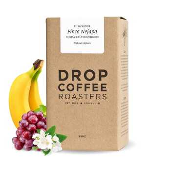 El Salvador FINCA NEJAPA - natural elefante - Drop Coffee Roasters