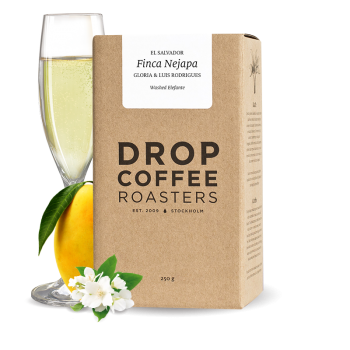 El Salvador FINCA NEJAPA - washed elefante - Drop Coffee Roasters