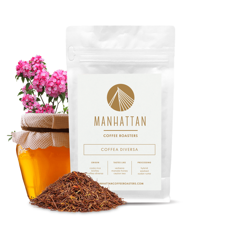 Výběrová káva Manhattan Coffee Roasters Kostarika COFFEA DIVERSA - sudan rume