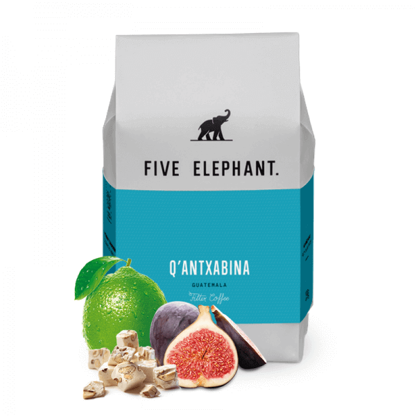Výběrová káva Five Elephant Guatemala Q´ANTXABINA