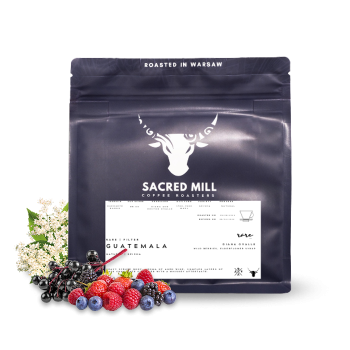 Guatemala DIANA OVALLE - Sacred Mill