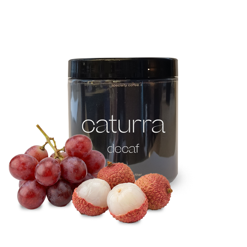 Výběrová káva A Matter of Concrete Kolumbie NOGALES CATURRA DECAF - bezkofeinová - 100g