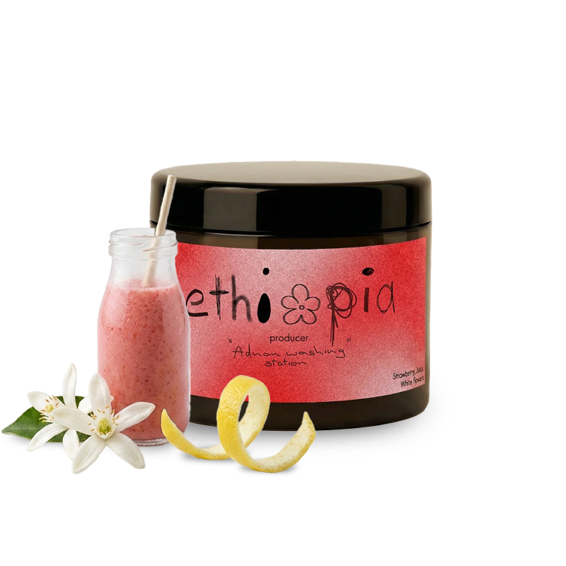 Výběrová káva Ordinary Coffee Roasters Etiopie SIDAMA NATURAL