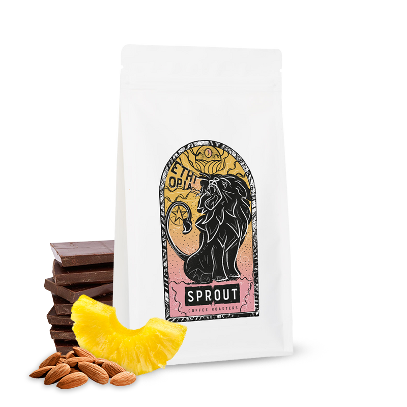 Výběrová káva Sprout Coffee Roasters Etiopie CHECKA - bezkofeinová