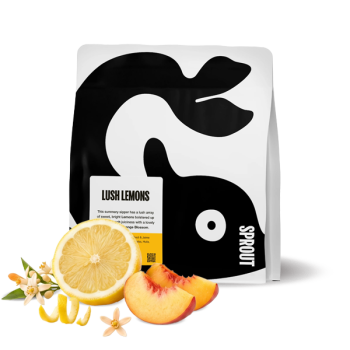 Kolumbie LUSH LEMONS - Sprout Coffee Roasters