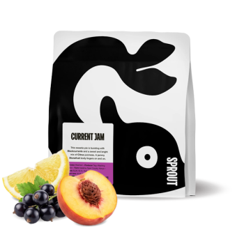 Keňa CURRENT JAM - Sprout Coffee Roasters