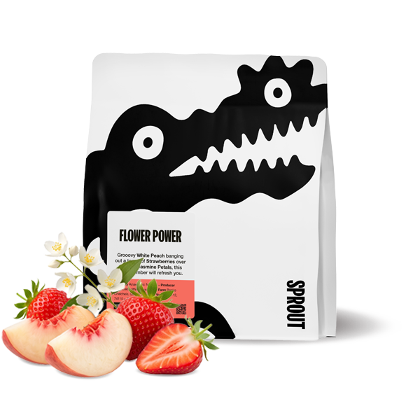 Výběrová káva Sprout Coffee Roasters Etiopie FLOWER POWER