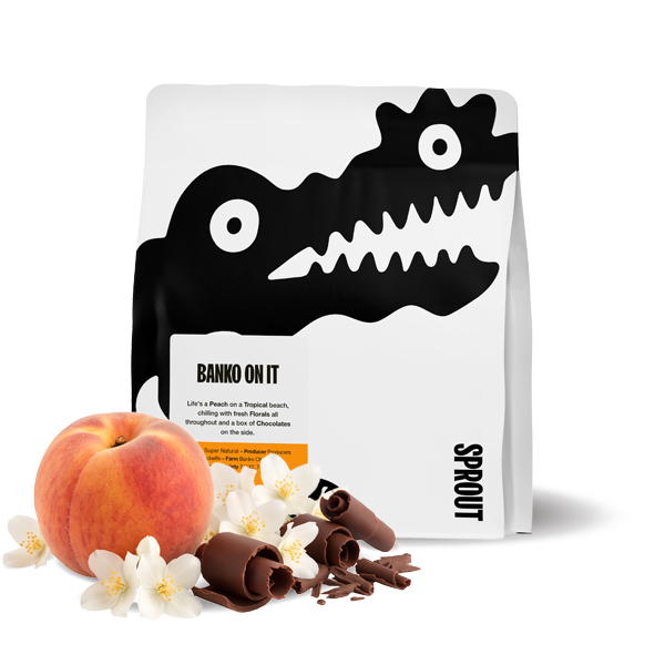 Výběrová káva Sprout Coffee Roasters Etiopie BANKO ON IT