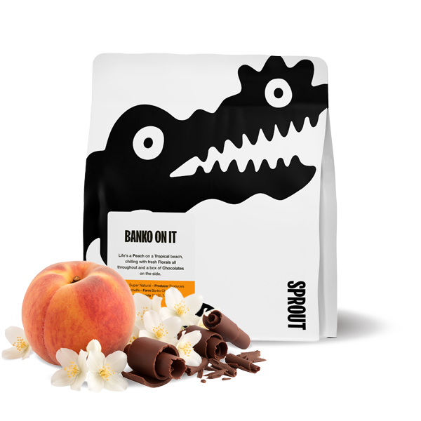 Výběrová káva Sprout Coffee Roasters Etiopie BANKO ON IT