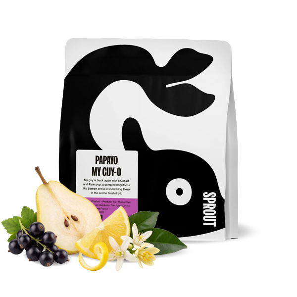Výběrová káva Sprout Coffee Roasters Kolumbie PAPAYO MY GUY-0