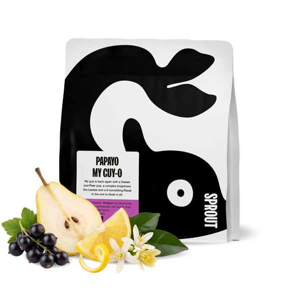Výběrová káva Sprout Coffee Roasters Kolumbie PAPAYO MY GUY-0