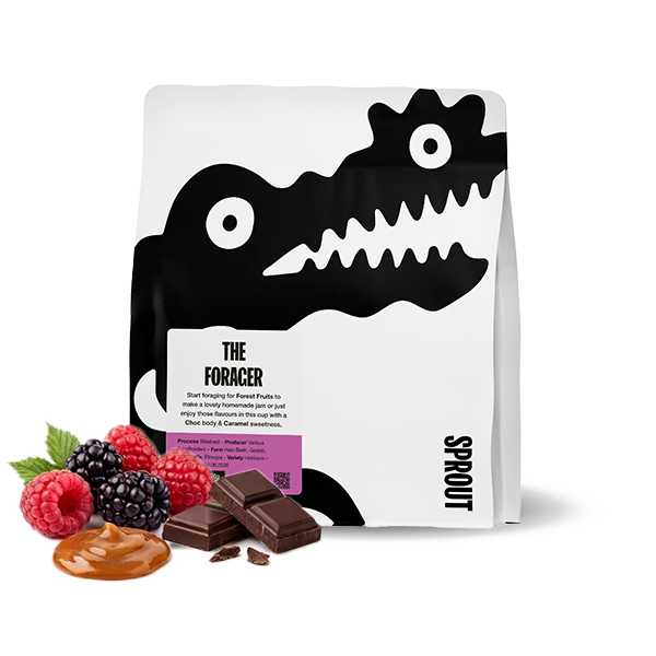 Výběrová káva Sprout Coffee Roasters Etiopie THE FORAGER