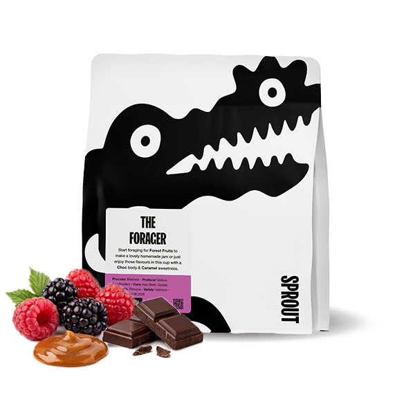 Výběrová káva Sprout Coffee Roasters Etiopie THE FORAGER