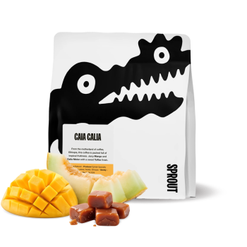 Etiopie GAIA GALIA - Sprout Coffee Roasters
