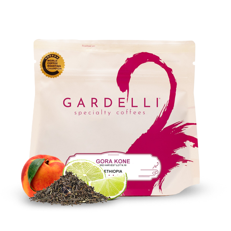 Výběrová káva Gardelli Coffee Etiopie GORA KONE