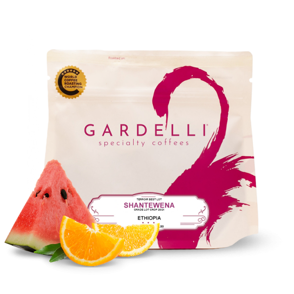 Výběrová káva Gardelli Coffee Etiopie SHANTEWENA