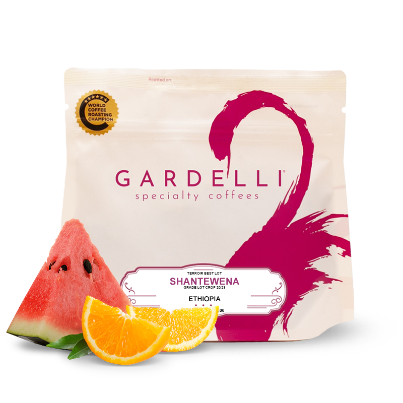 Výběrová káva Gardelli Coffee Etiopie SHANTEWENA