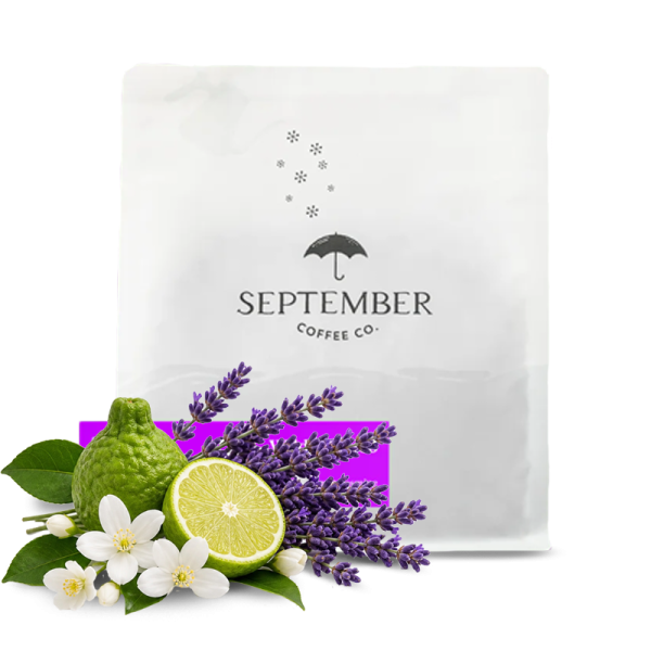 Výběrová káva September Coffee Kolumbie WILDER LASSO - 200g