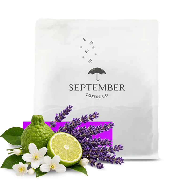 Výběrová káva September Coffee Kolumbie WILDER LASSO - 200g