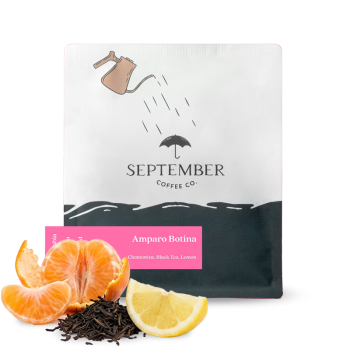 Kolumbie AMPARO BOTINA - September Coffee