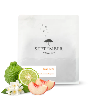 Ekvádor JUAN PEÑA - geisha - 100g - September Coffee