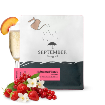 Etiopie HABTAMU FIKADU CHELBESA - September Coffee