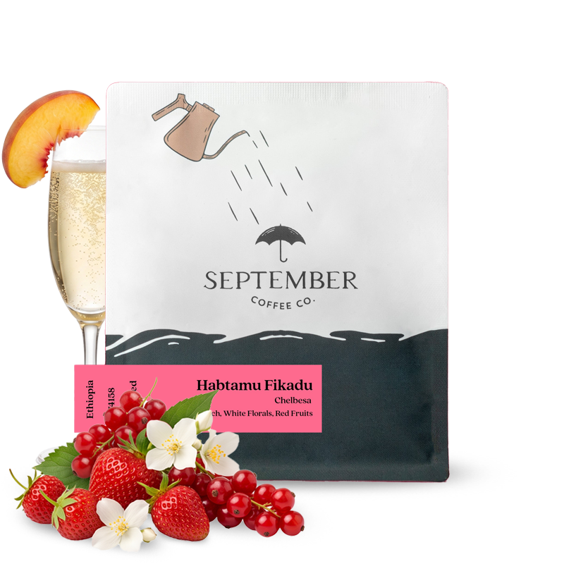 Výběrová káva September Coffee Etiopie HABTAMU FIKADU CHELBESA