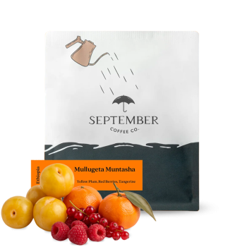 Etiopie MULLUGETA MUNTASHA - September Coffee