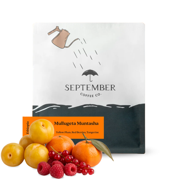 Výběrová káva September Coffee Etiopie MULLUGETA MUNTASHA