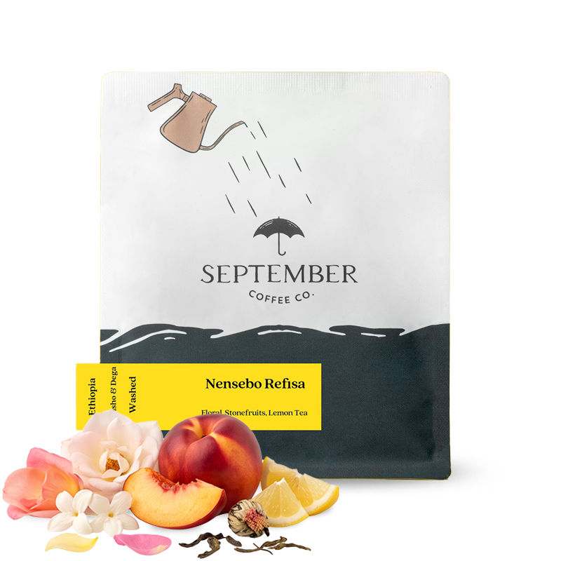 Výběrová káva September Coffee Etiopie NENSEBO REFISA