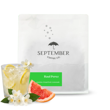 Guatemala RAUL PEREZ - 125g - September Coffee