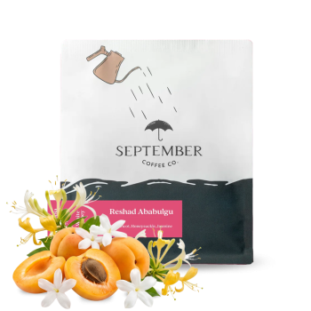 Etiopie RESHAD ABABULGU - September Coffee