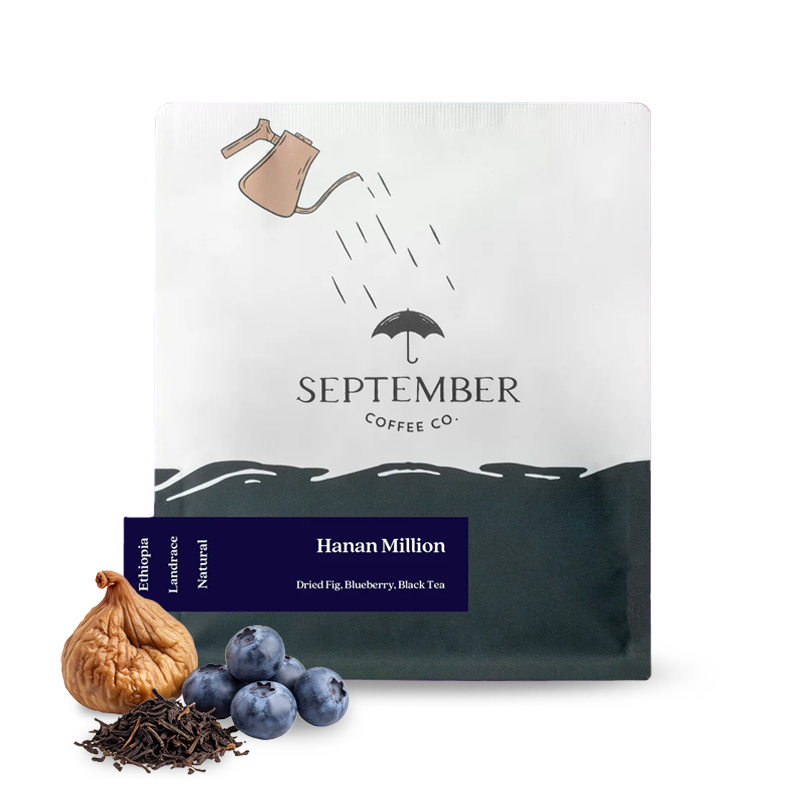 Výběrová káva September Coffee Etiopie HANAN MILLION