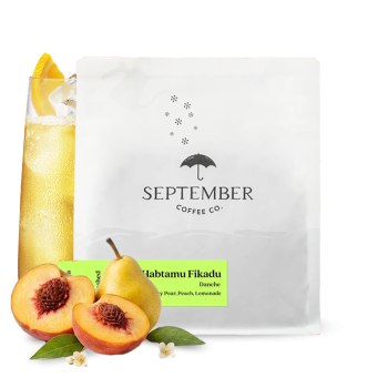 Etiopie HABTAMU FIKADU DANCHE - September Coffee