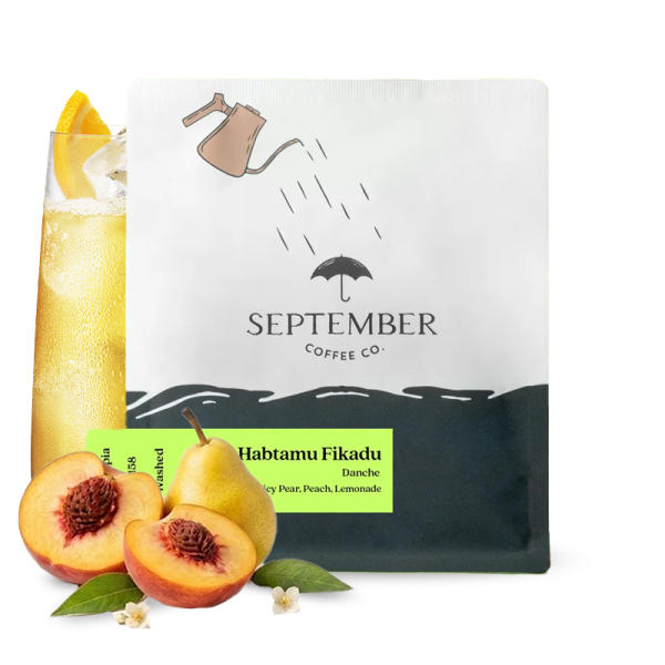Výběrová káva September Coffee Etiopie HABTAMU FIKADU DANCHE