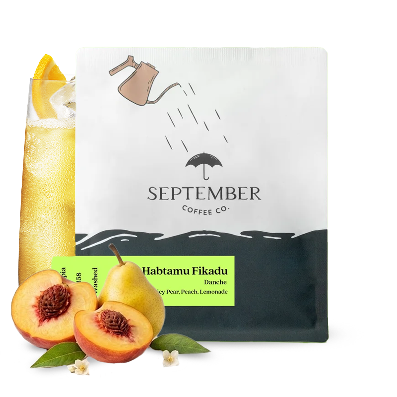 Výběrová káva September Coffee Etiopie HABTAMU FIKADU DANCHE