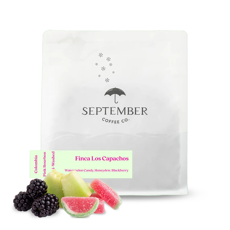 Výběrová káva September Coffee Kolumbie FINCA LOS CAPACHOS - Pink Bourbon