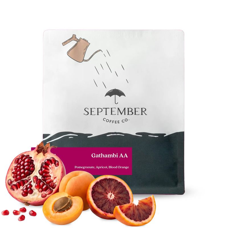 Výběrová káva September Coffee Keňa GATHAMBI AA