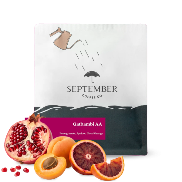 Výběrová káva September Coffee Keňa GATHAMBI AA