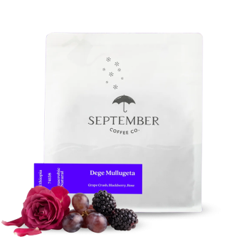 Etiopie DEGE MULLUGETA - September Coffee