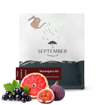 Keňa MUCHAGARA AB - September Coffee